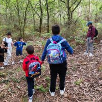 Imagen de WhatsApp 2024-07-09 a las 11.53.27_b3a8dd9c